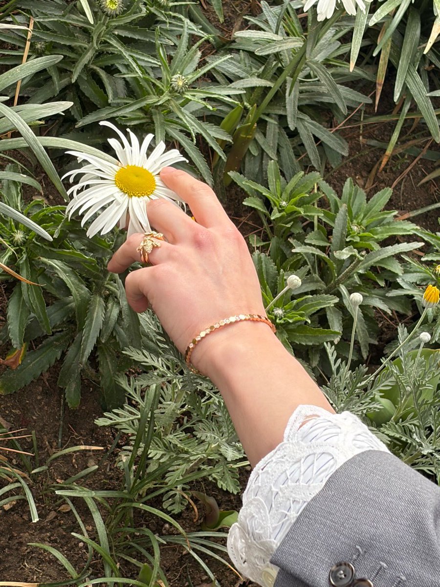 BrazilStay's tweet image. |#INSTA| 23.04.26

Atualização do #LEEKNOW em seu Instagram pessoal  [1/2]

"🐝"

📎instagram.com/p/DXdruLWid2y/…

#스트레이키즈 #STAY #StrayKids @Stray_Kids 😺