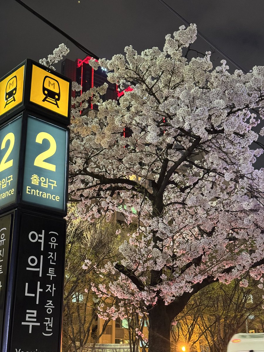 RealKoreanLife's tweet photo. April nights in Seoul are magical.
3 weeks ago the cherry blossoms turned the whole city pink after sunset 🌸
But if we’re honest… most of us were just fighting to stay awake on the way home 😴
How’s your April going?

#AprilInSeoul #CherryBlossoms #SpringFatigue #SeoulNights https://t.co/Hz7j2EUC5q