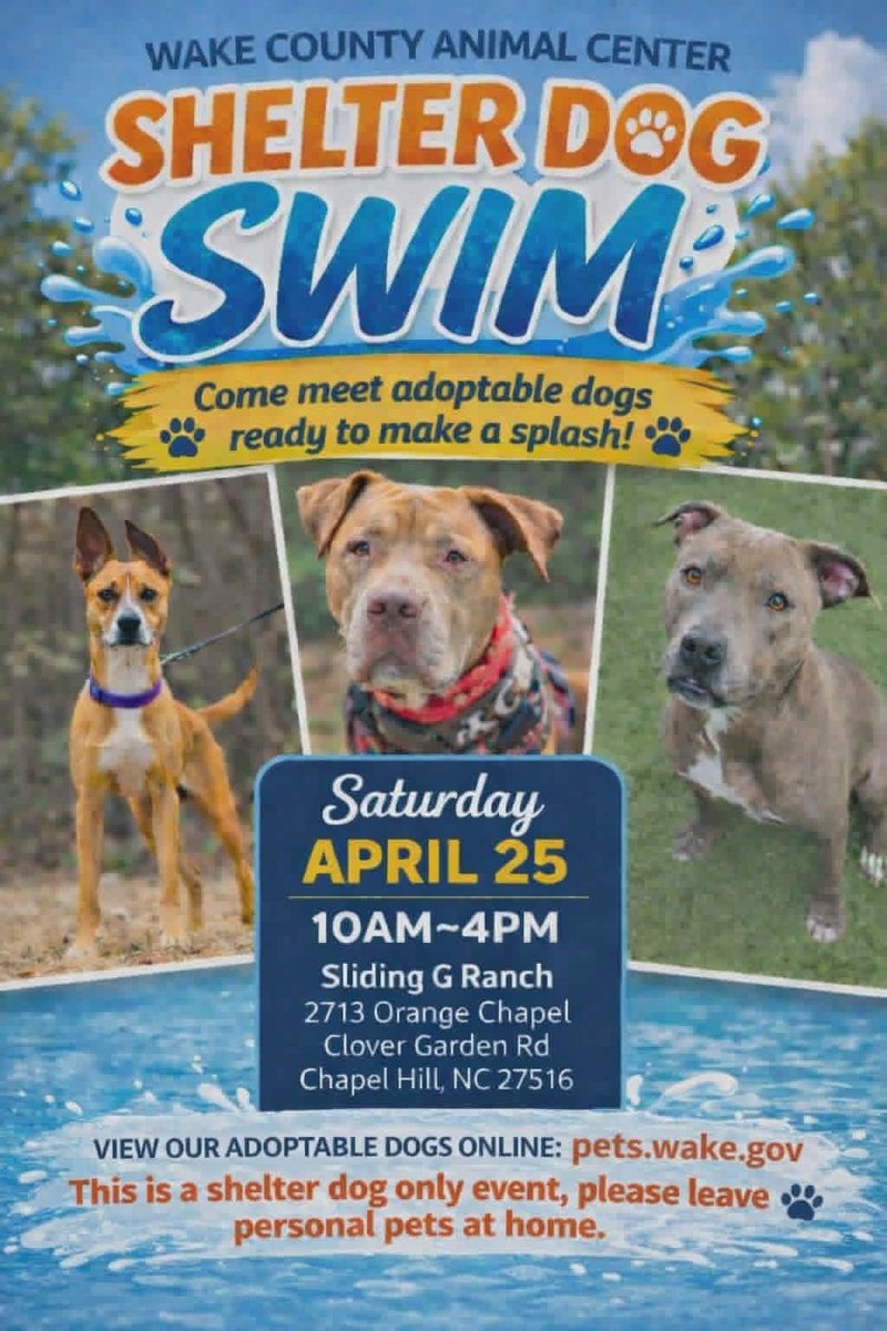 Come check out the Shelter dog swim this Saturday! 
facebook.com/events/1507333…

#swimming #dogs #adoptionevent