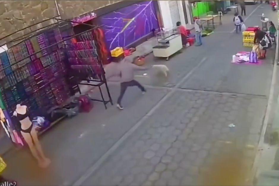 soy_502's tweet image. 😡¡Indignante! Hombre agrede a un perro y queda grabado en video

El perrito "Mapy" se encuentra en recuperación luego de haber recibido atención médica.

soy502.com/articulo/indig…