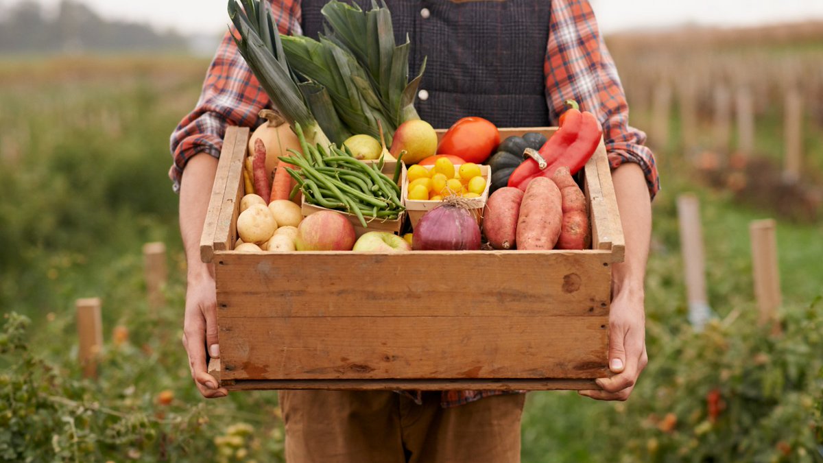WUSTLphs's tweet photo. Fresh produce, farmers markets, and home gardens—spring is the perfect time to rethink what’s on our plates 🌿
In Feast Magazine, Dr. Yin Cao explores how seasonal, farm-fresh foods can support better nutrition and public health: https://t.co/mSZ4YMJDrr

#WashUSurgery #HealthyEat https://t.co/n6YBBTwrQM