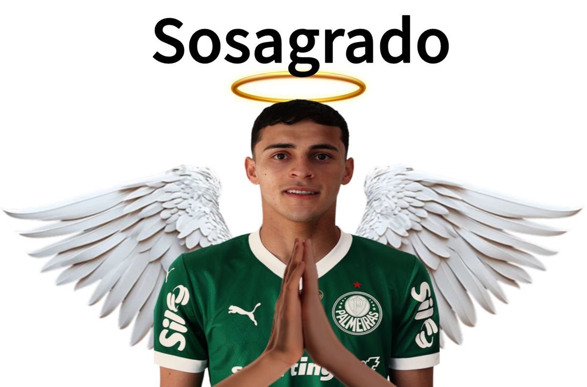 picmeiras tweet media