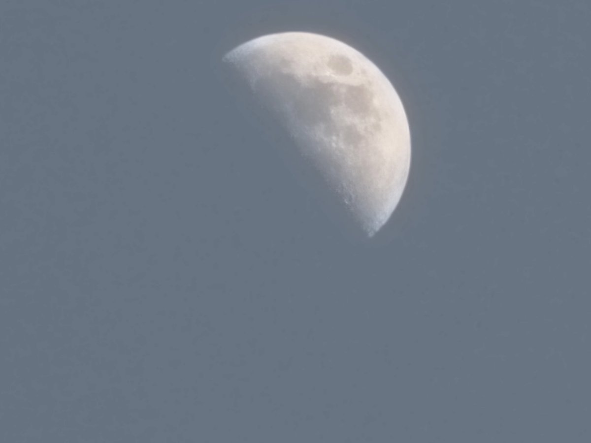 K.O.E. Nation tweet media