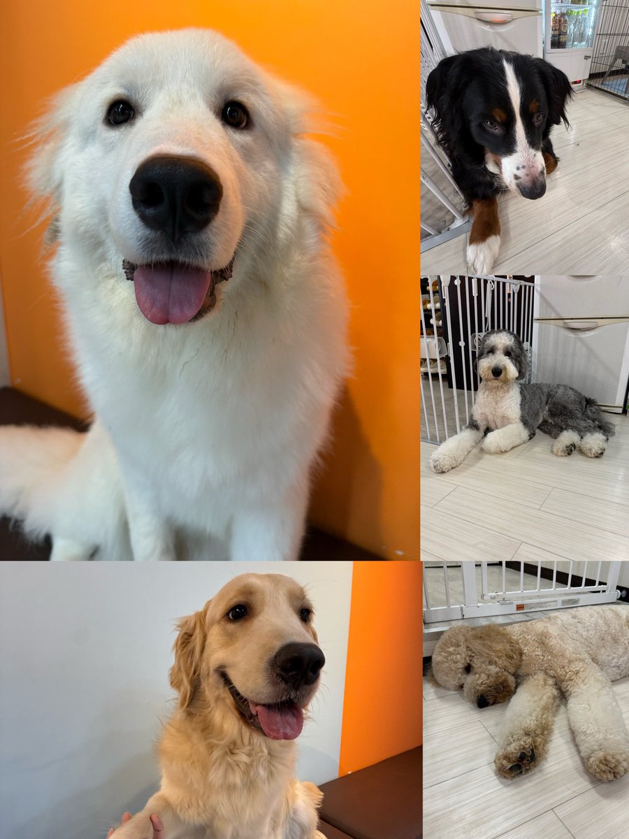 kaori🌿💕6AKfellows tweet media