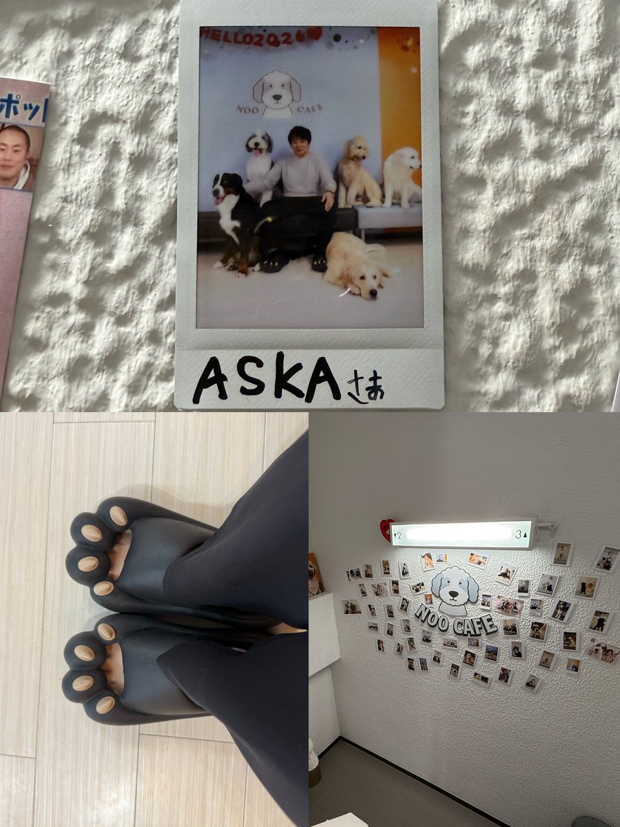 kaori🌿💕6AKfellows tweet media