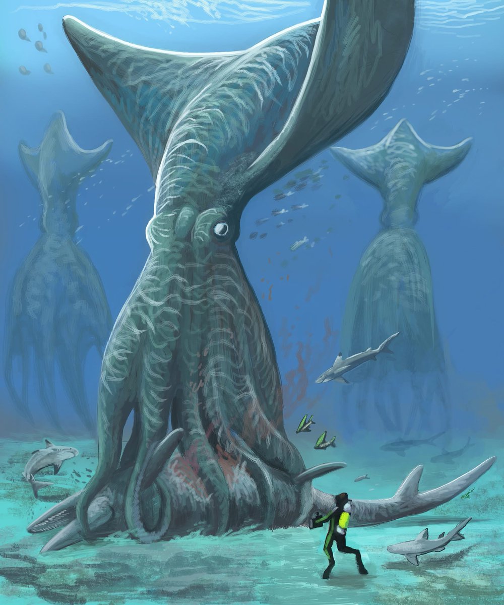 Hodari Shadowalker ❄️🐆 tweet media