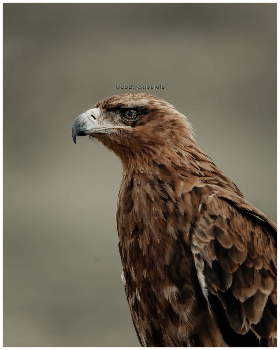 abdwambelele's tweet image. Is not only about a vision is how focus you are on archiving it 🍃

#eangle #focus #vision #content #sight