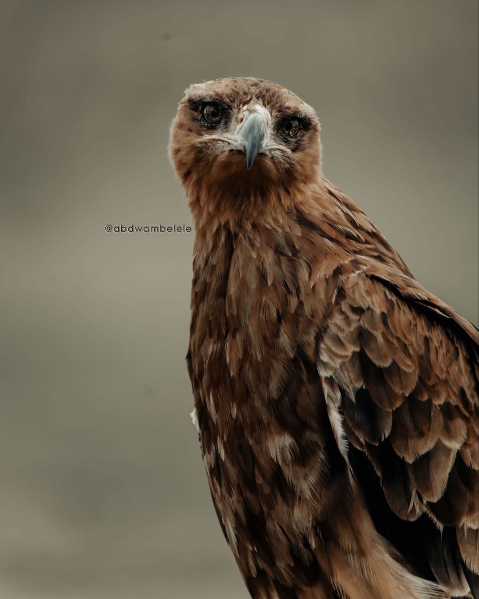 abdwambelele's tweet image. Is not only about a vision is how focus you are on archiving it 🍃

#eangle #focus #vision #content #sight