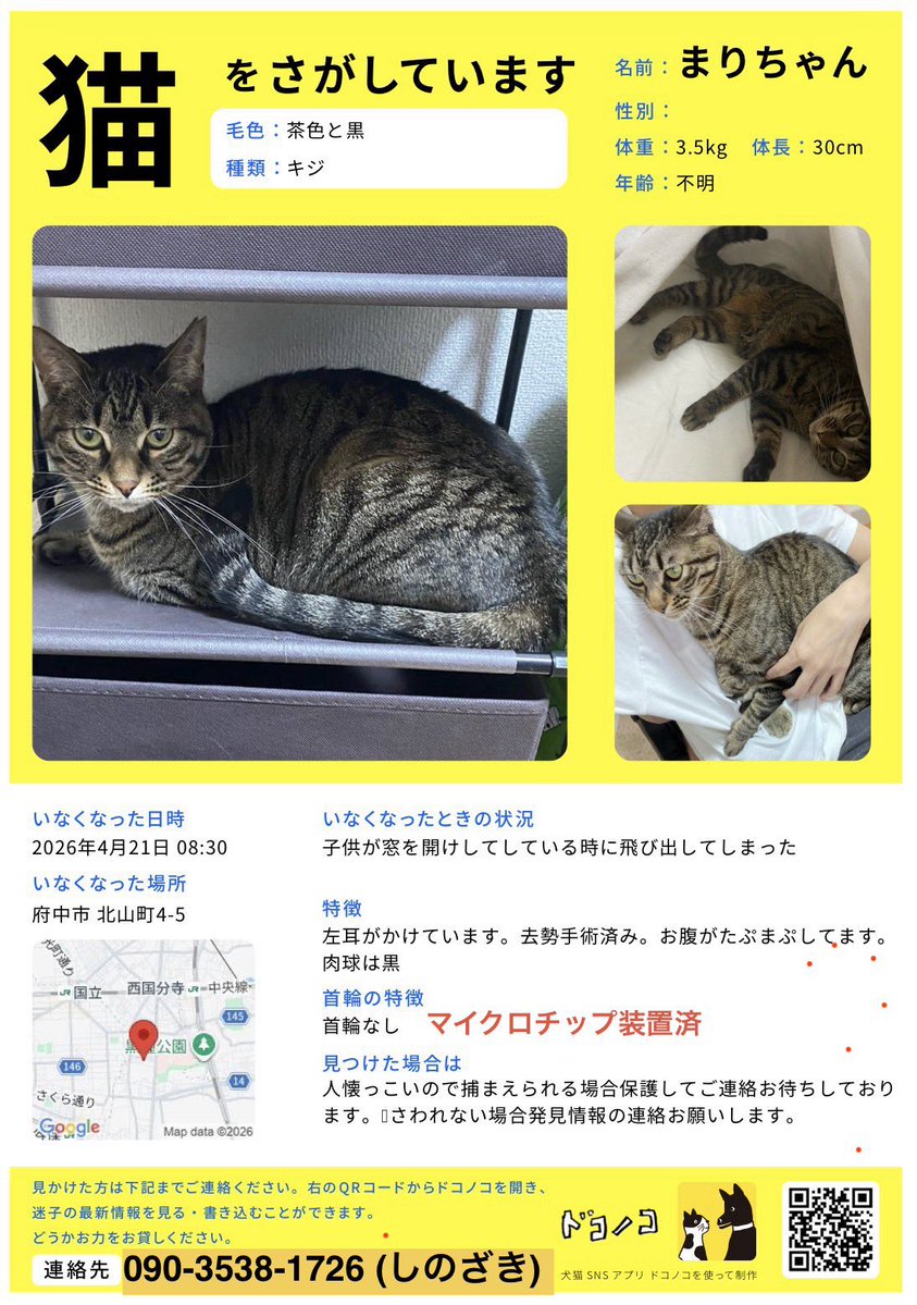 雨と雪 tweet media