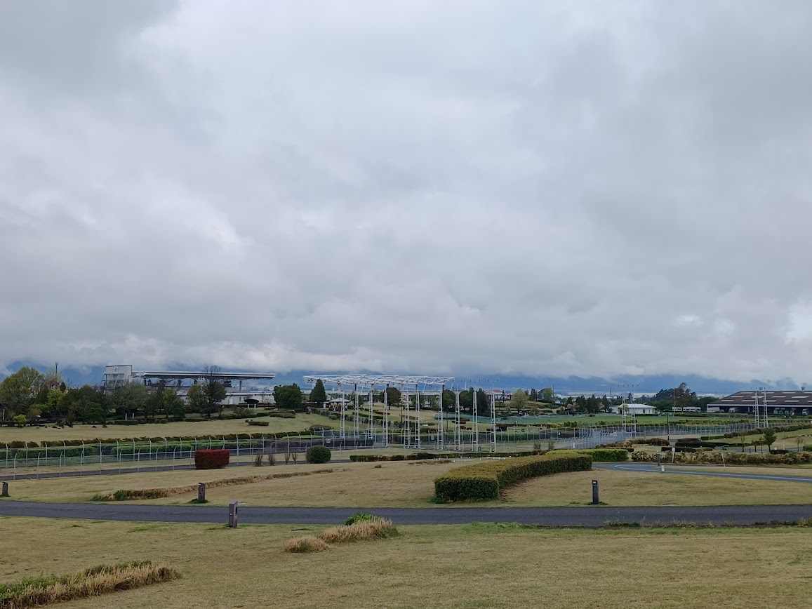 JAZZ雅鳴きたや tweet media