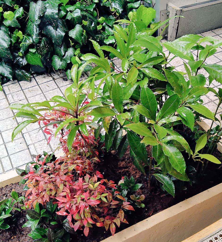 junordic's tweet photo. おはよう

昨夜は大雨でずぶ濡れになったよ

みんなは大丈夫だった？

本日鑑定🌈下北沢ゆあん

下北沢駅３分の個室サロン

個室大好きリラックス

内緒のお話も出来るよ

当日予約☎090-9973-6909

13:00~19:30まで受付中

上げ鑑定なしの現実的アドバイスでサポートするよ😉❤️

#下北沢占い
#占い https://t.co/hJJ0RbuUrS