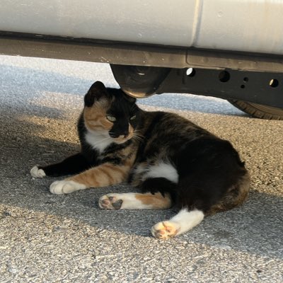 Danny Yuen tweet media