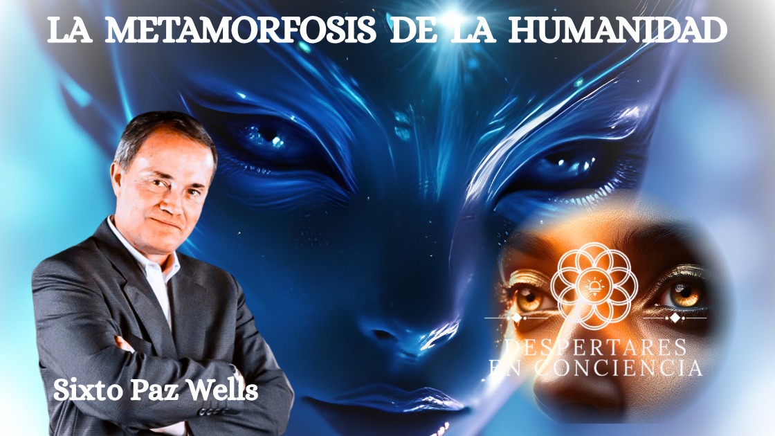 Sixto Paz Wells tweet media
