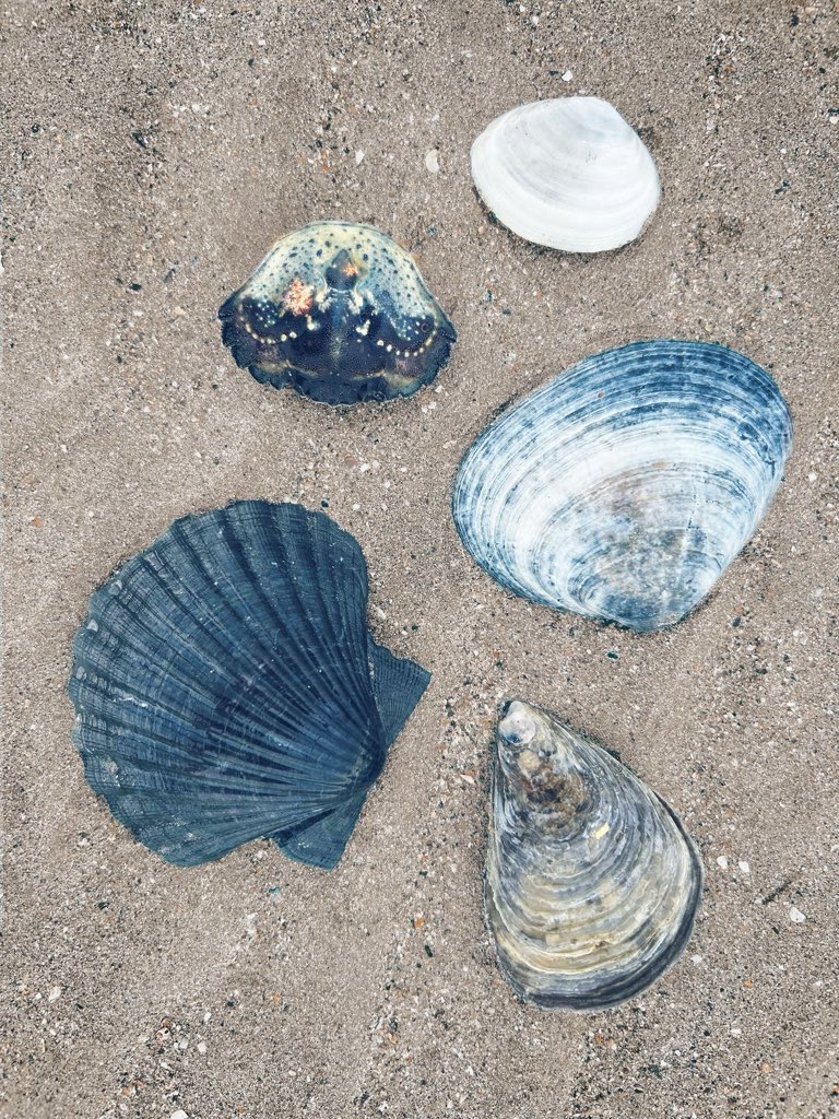 landspace tweet media