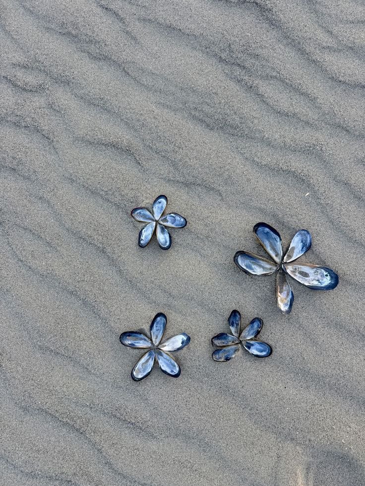 landspace tweet media