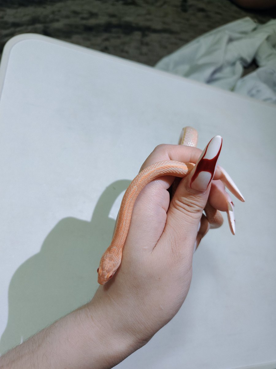 insanity713 tweet media