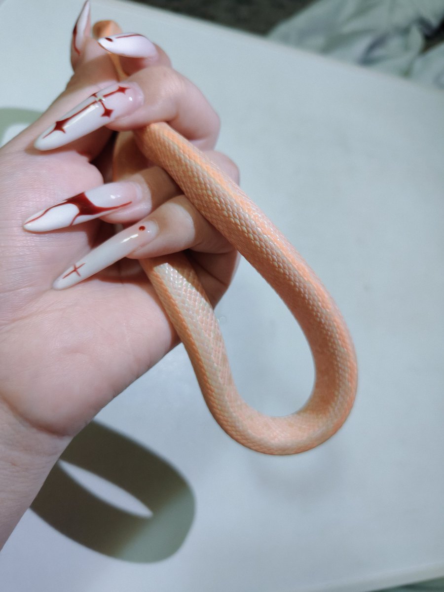 insanity713 tweet media