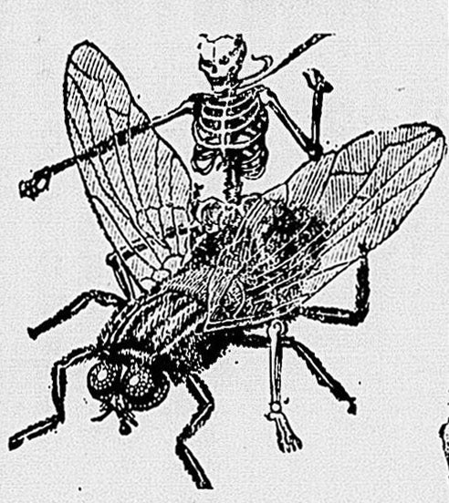 _pix3lpixi3's tweet image. you won’t be laughing when i summon 800 of these and send them in the direction of your house