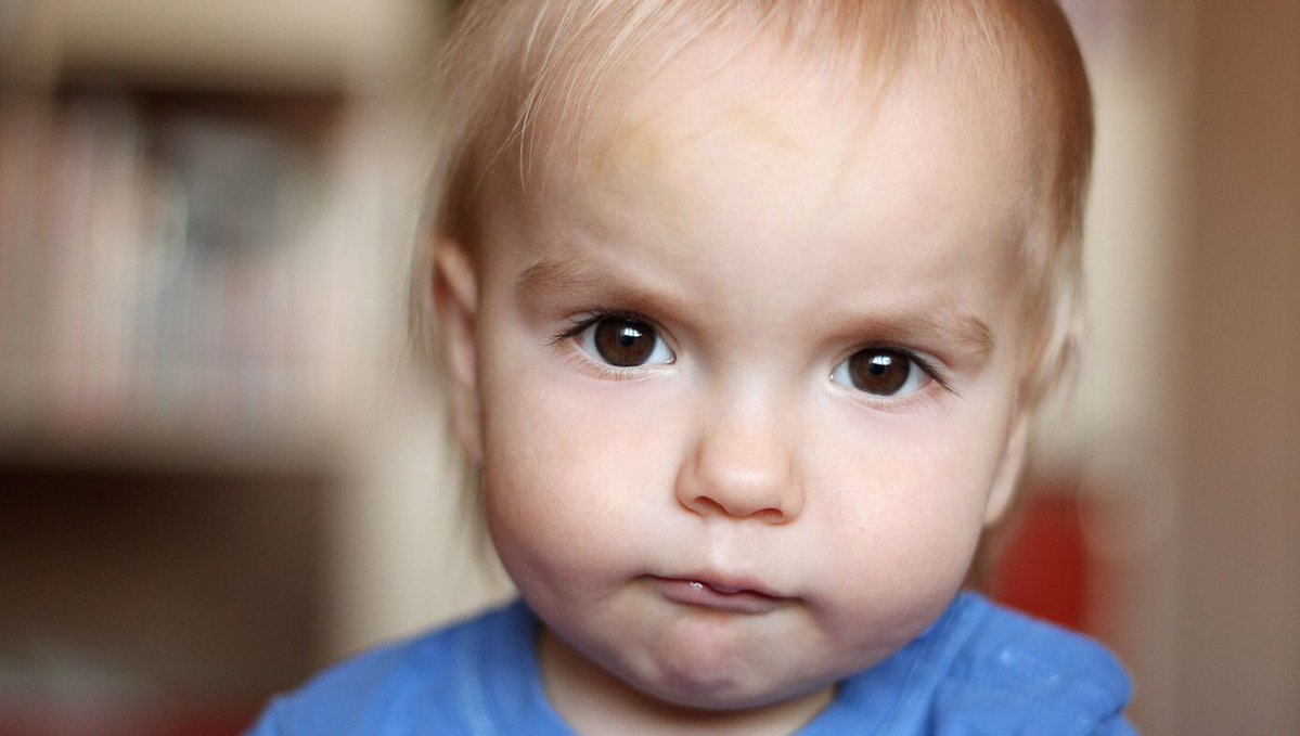 The Babylon Bee tweet media