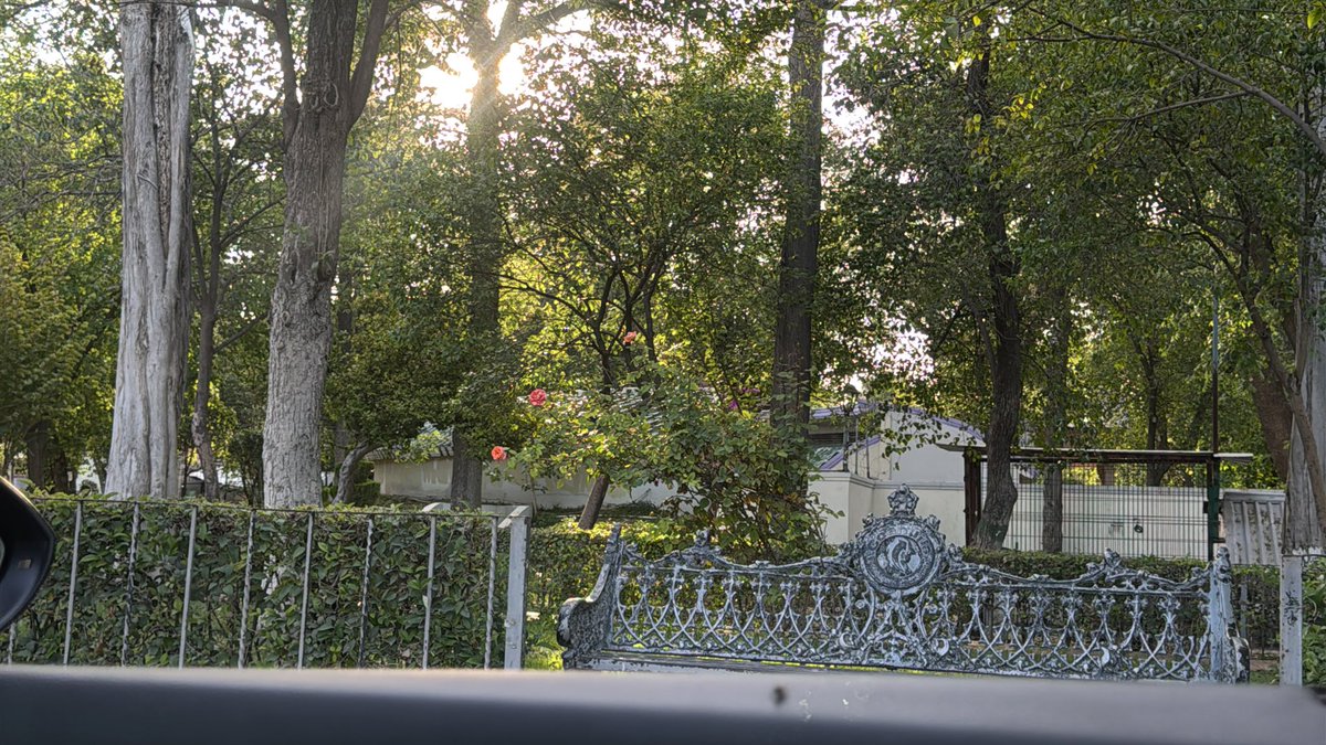 single saltillo 25 tweet media