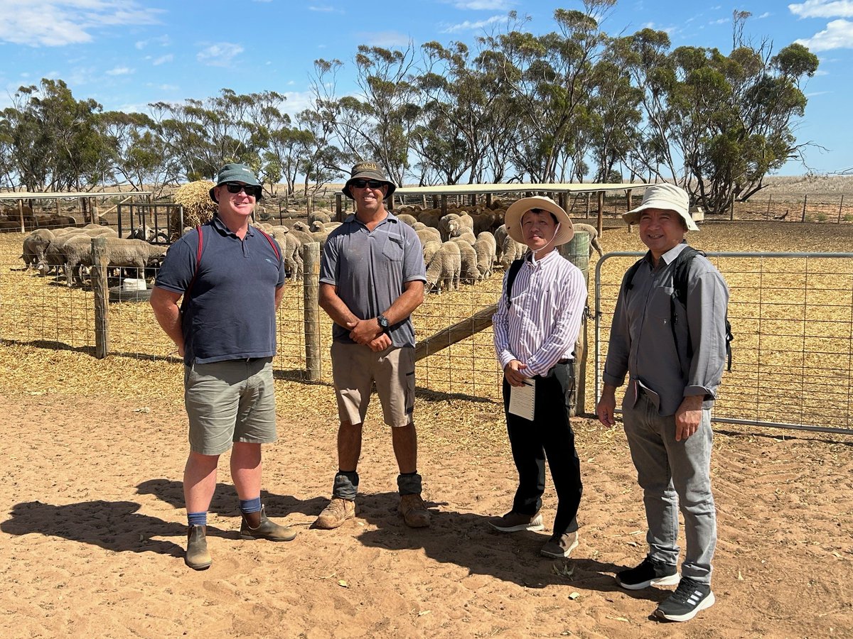 CrawfordFund's tweet image. Practical #biosecurity in action 🌱🐑
Scientists from Laos and Cambodia built applied skills in forage and livestock systems, focusing on pastures, legumes, soil quality and feed use. Knowledge gained will be shared locally to strengthen regional capacity: bit.ly/4bElA8j