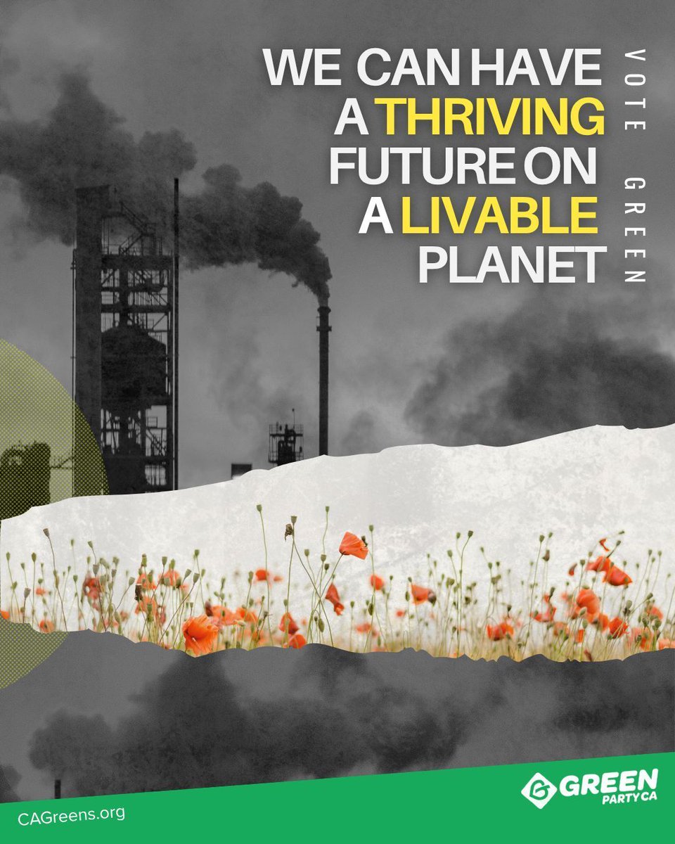 cagreens1's tweet image. We deserve a thriving future on a livable planet!
WE REALLY DO...
So let's demand it from our elected and our government!
#GoGreen
#VoteThemOut
#EndTheDuopoly