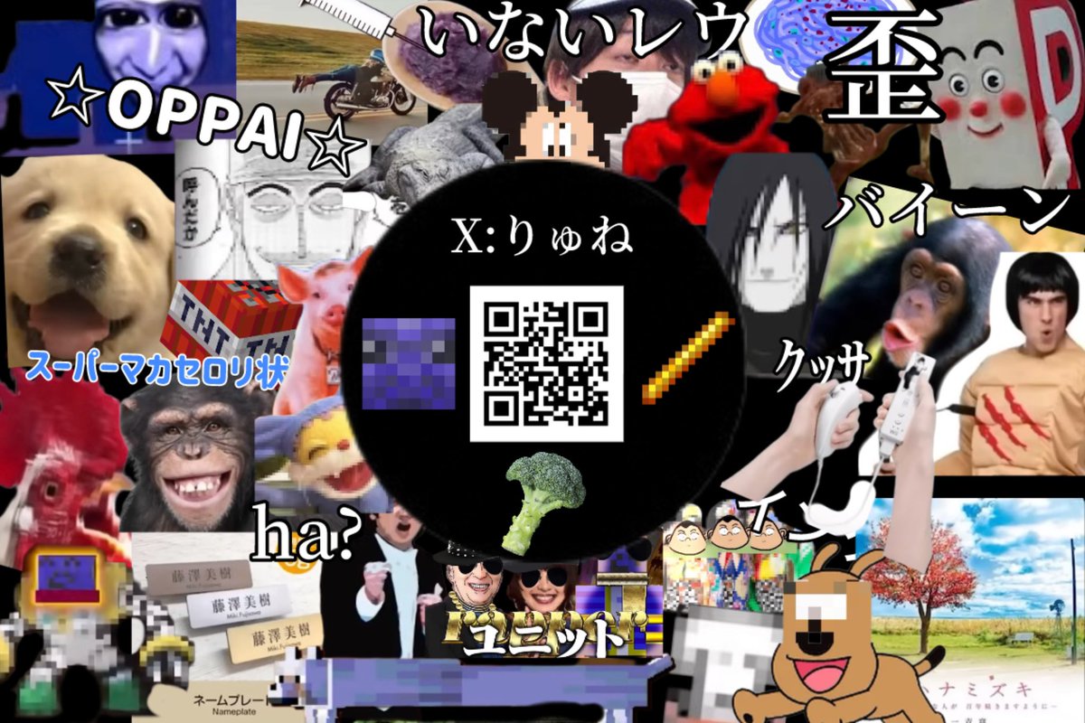 りゅね🦨ニコ超両日🌟 tweet media