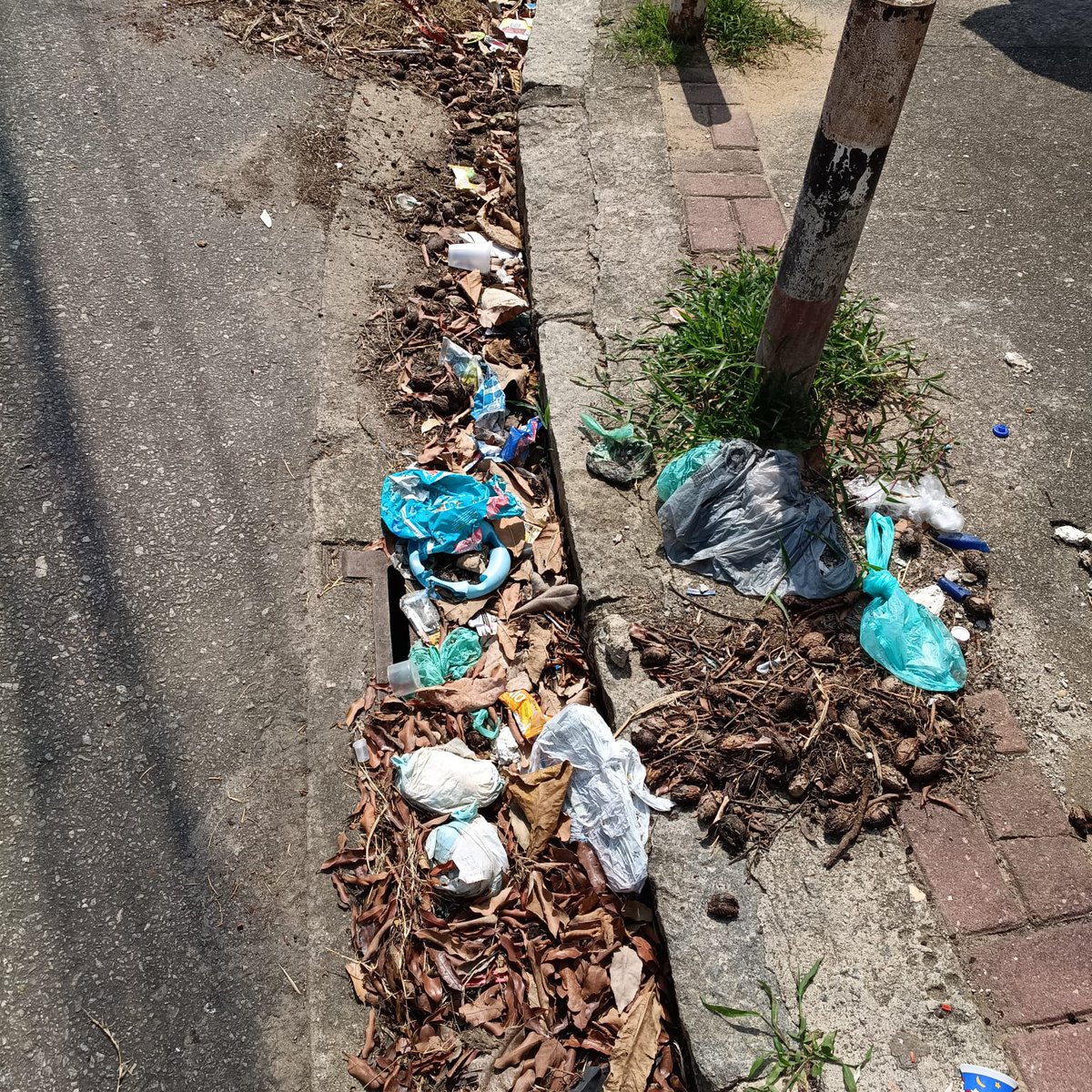 lopes204060's tweet photo. Alô @comlurbcomunica @Prefeitura_Rio @pracaseca @CavaliereRio
Alô comlurb até quando a rua Marangá vai ficar sem a limpeza urbana??!! Bueiros sujos. Carro depenado abandonado ... Vcs só limpam a parte do comércio próximo a clínica da família o restante está abandonada... https://t.co/rBo1fU6qXQ