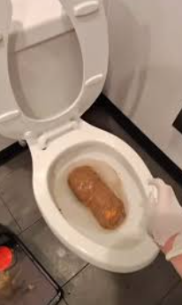 Stinky Patel tweet media