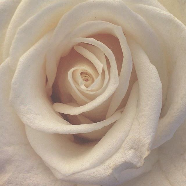 alliii 🐸 tweet media