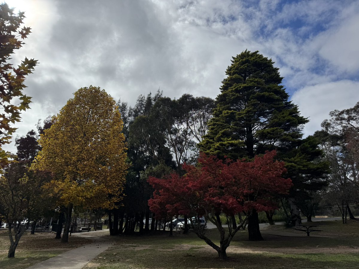 Azusa Kawamura🇯🇵✈︎🇦🇺 英語学習11年目/シドニー5年目🕊 tweet media