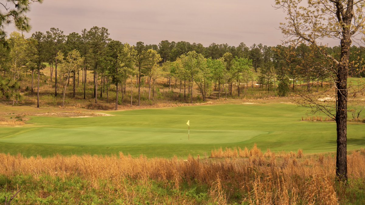 J. Liebert Golf Pics tweet media