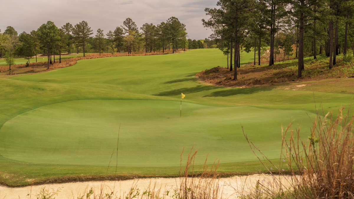 J. Liebert Golf Pics tweet media