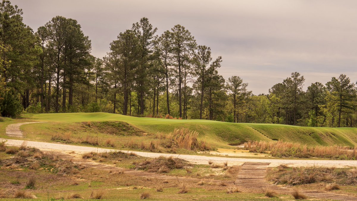 J. Liebert Golf Pics tweet media