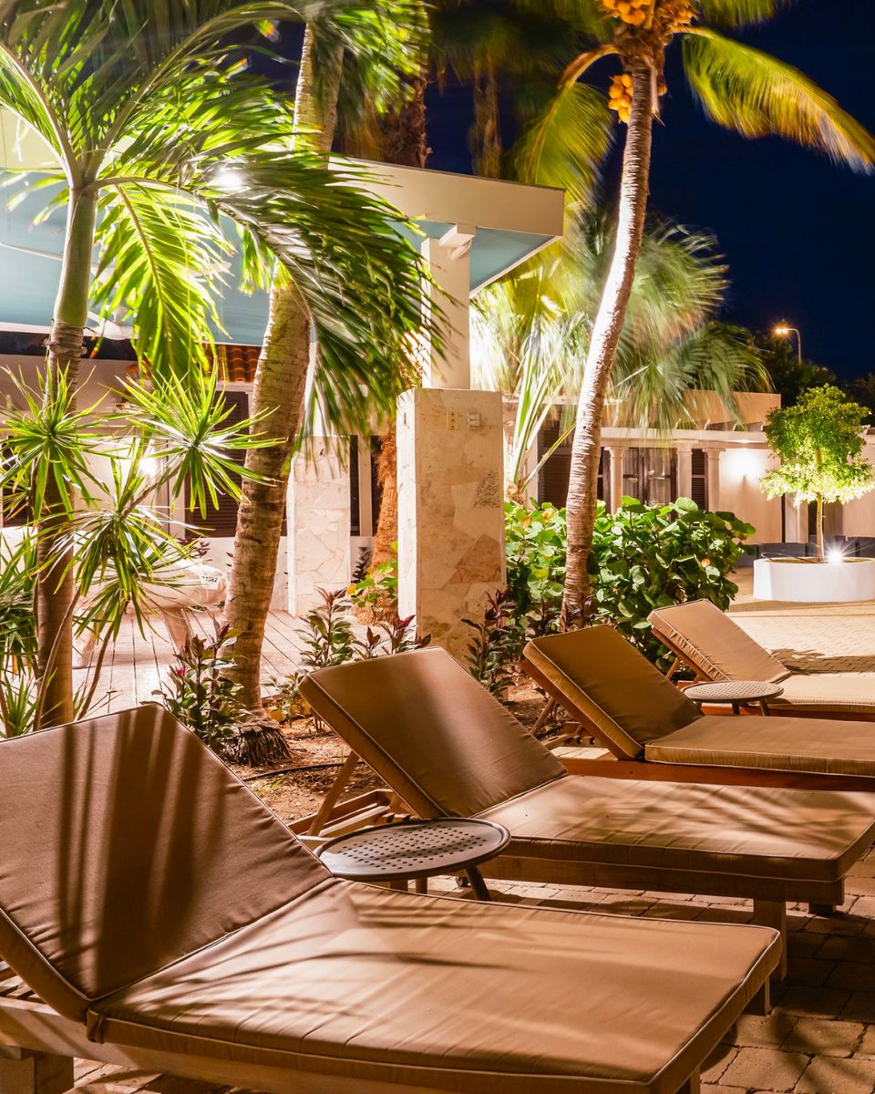 ZoetryResorts's tweet photo. As light fades, the atmosphere shifts with quiet precision.🌺

Movement slows, voices lower, and each moment feels more defined.

At #ZoëtryCuraçao, the evening settles with you: https://t.co/eDLUj0LKMy https://t.co/Otf6YhSxdd