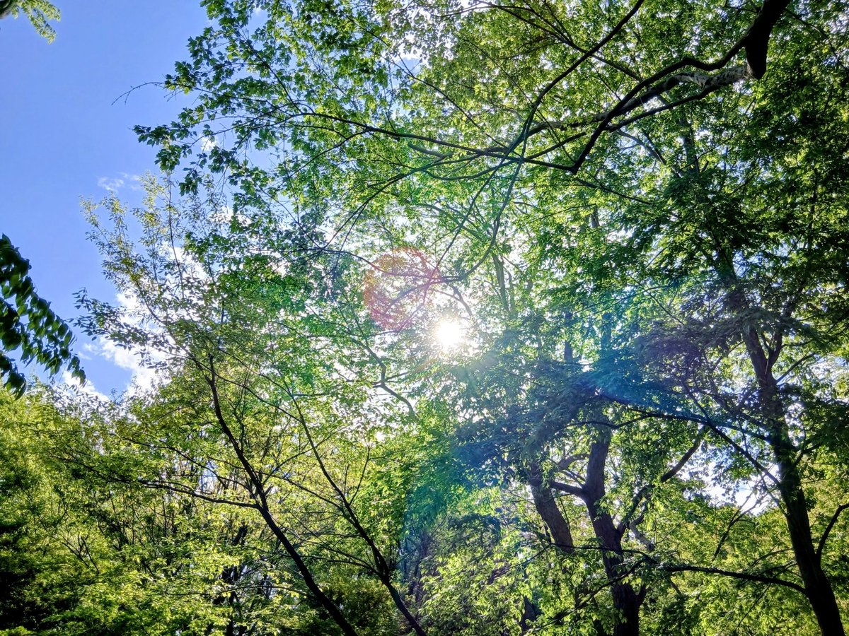 握りこぶしの

ままでは

手は

つなげない

固く握った

その手を

ひらいて

差し出そうよ

君が

好きだから

君と

もっと

仲良く

なりたいから

#詩人は夜の生き物 #givepeaceachance✌️
#tgif