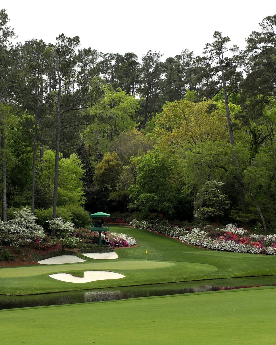 Inspirato tweet media