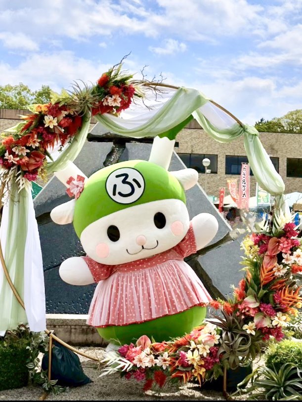 ふっかちゃん tweet media