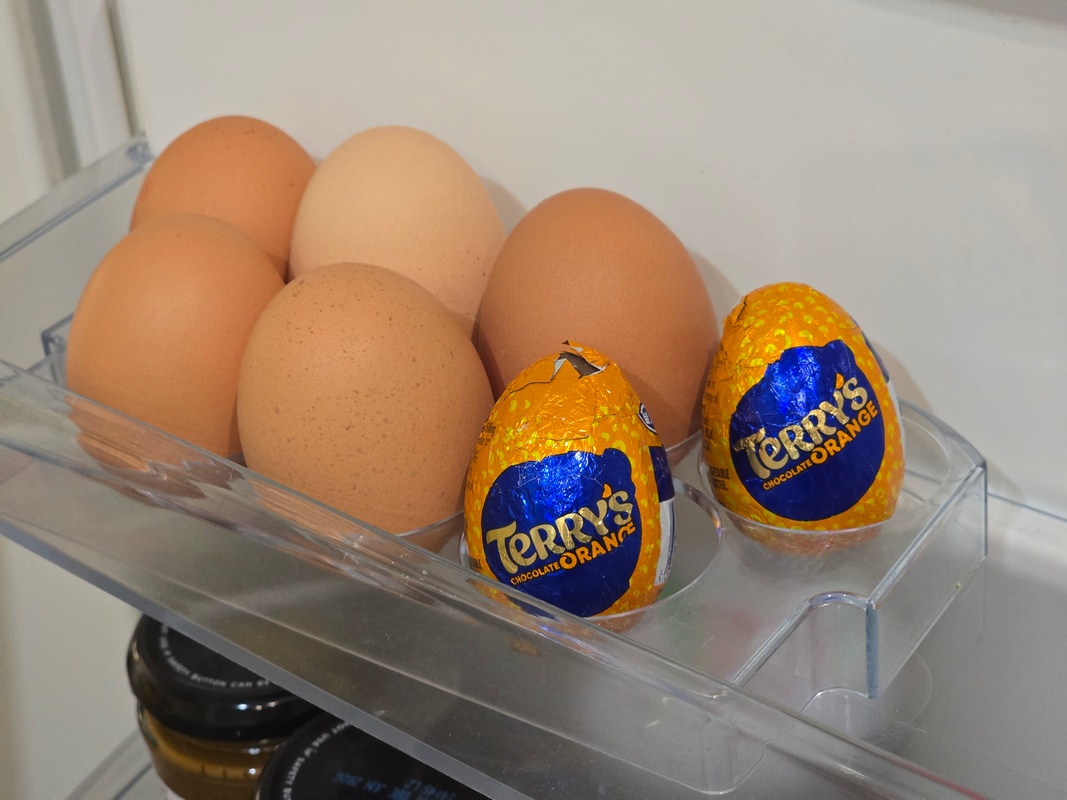 AmiYamato's tweet image. My secret to wellness is staying stocked up for a healthy start to each day. 
#HealthyLiving #Wellness #Protein #terryschocolate