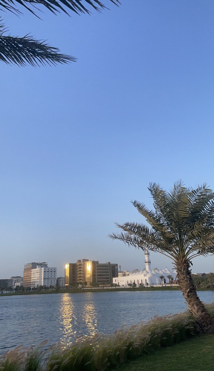 مٌ نّ ىٰ tweet media