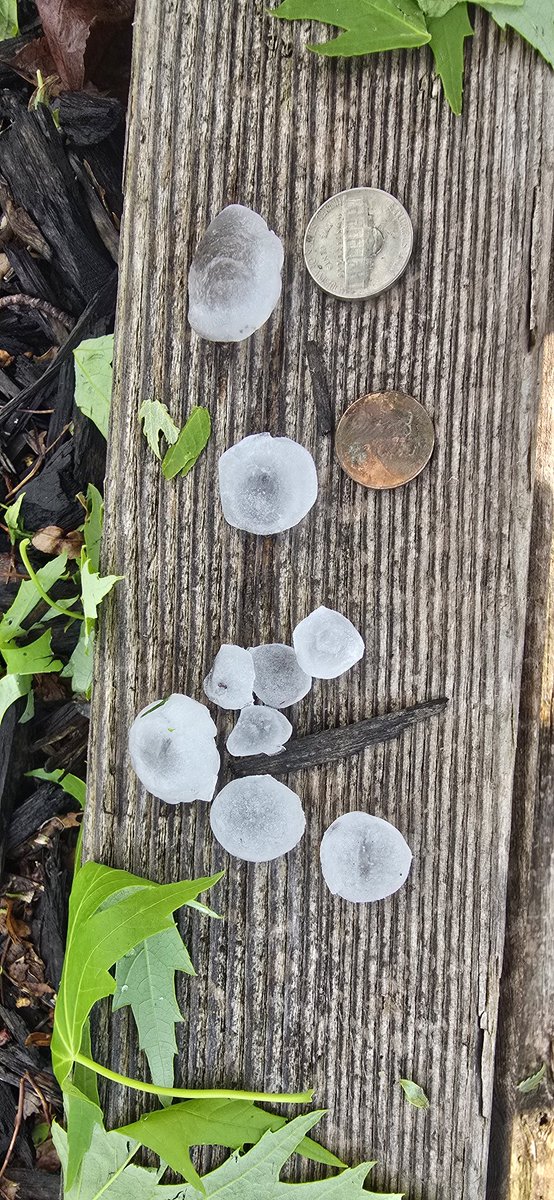 squidgypknut's tweet photo. Little hail storm this afternoon
 And some much needed rain!!!
@BradAnderson_WX @rustywx @WxRentschler https://t.co/G2xwWlk1mO