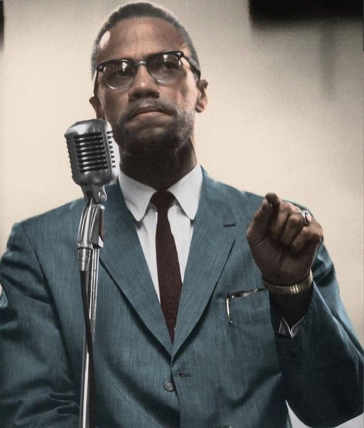 “You can’t separate peace from freedom because no one can be at peace unless he has his freedom.” 

—Malcolm X