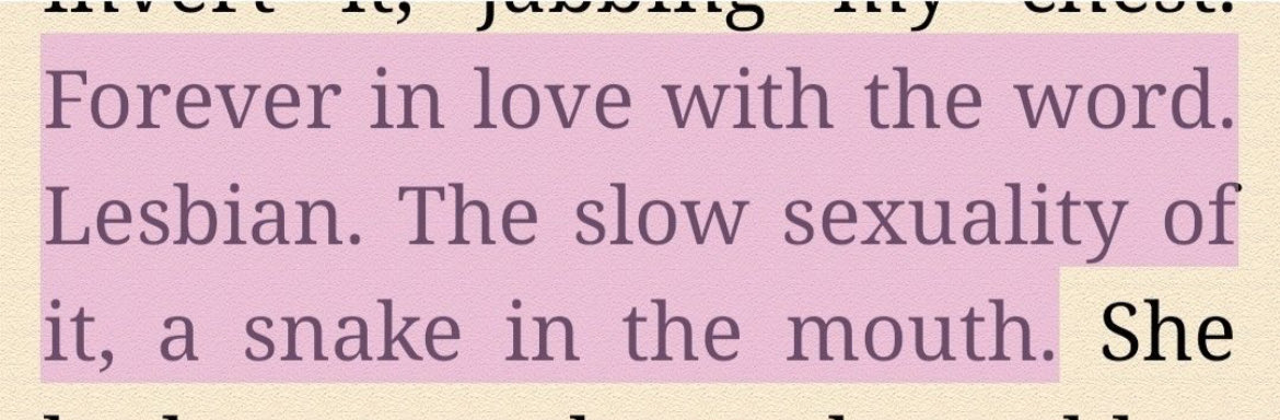 happy lesbian visibility week 😇