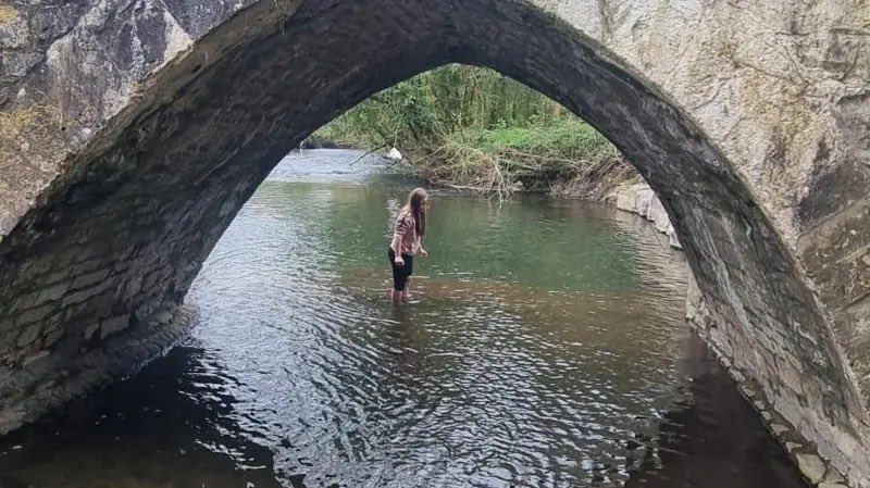 Una niña de 10 años descubrió un ajolote mexicano debajo de un puente en Reino Unido, en lo que se considera el primer registro de esta especie en estado salvaje en ese país.

El animal estaba herido, por lo que fue rescatado por su familia, quienes lo mantuvieron bajo cuidado