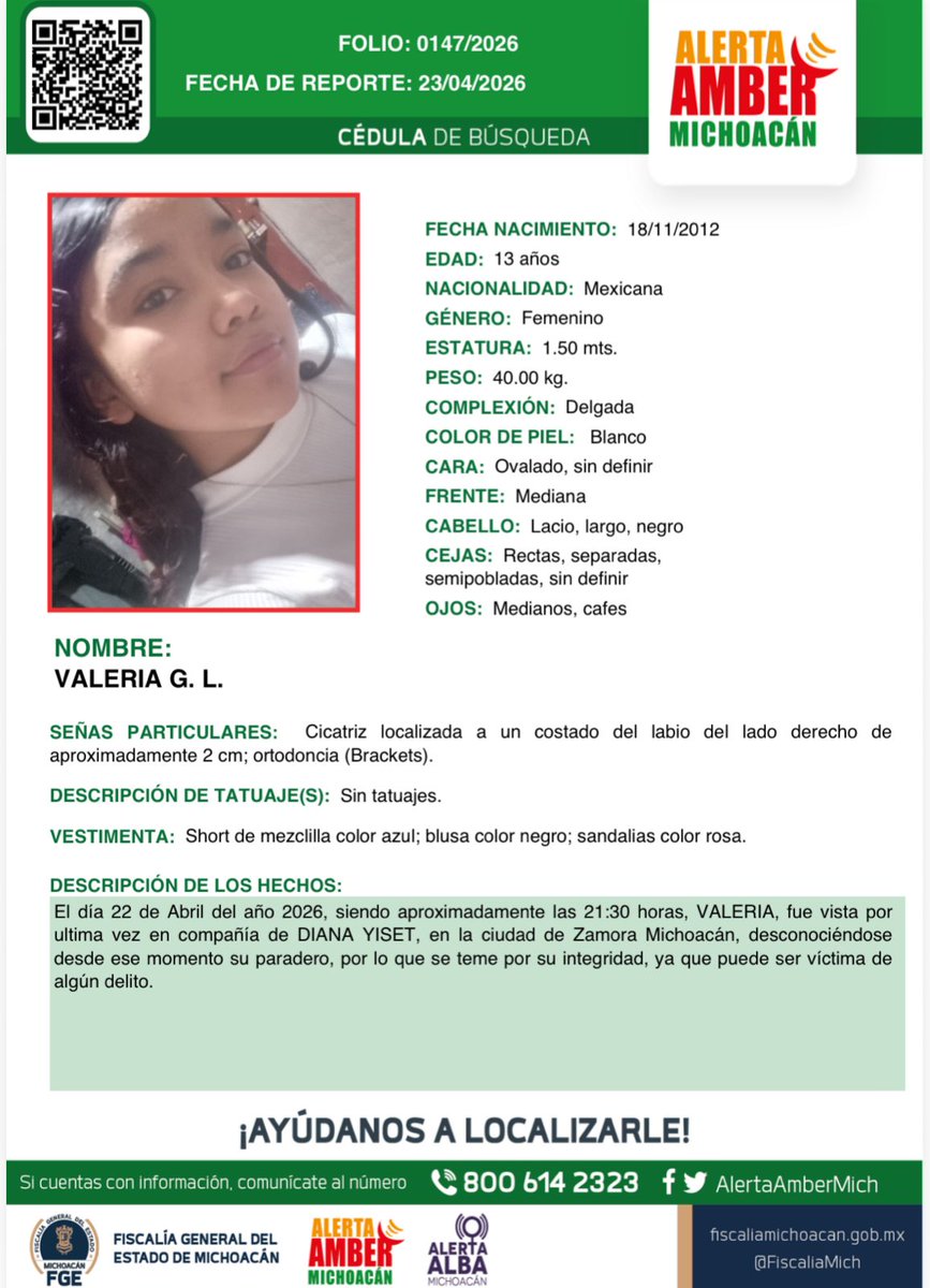 Alerta Amber Mich. tweet media