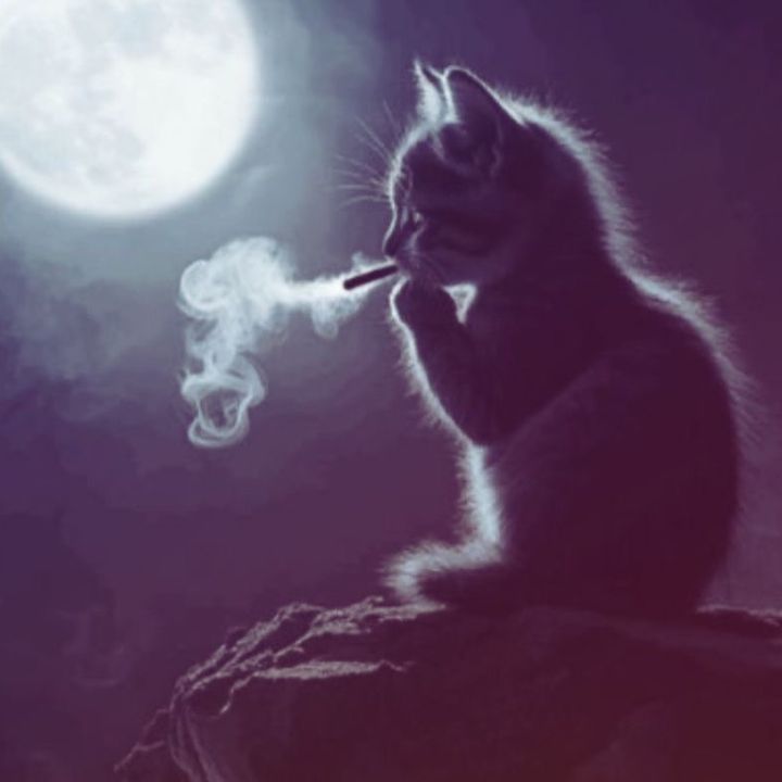 Ciroo 🇸🇪 tweet media