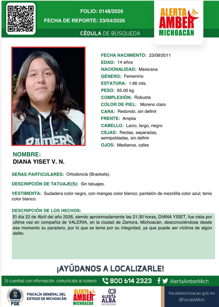 Alerta Amber Mich. tweet media