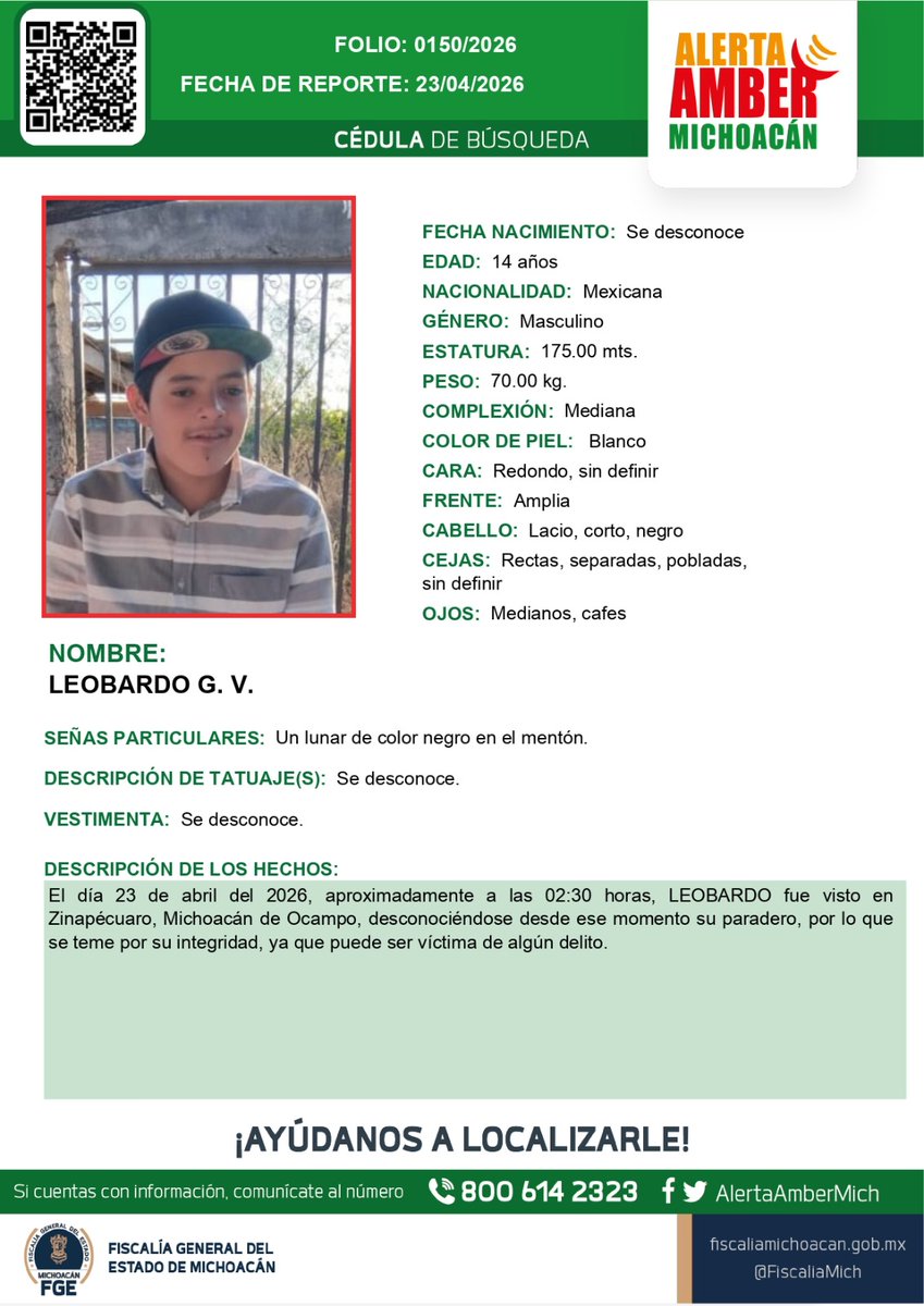 Alerta Amber Mich. tweet media