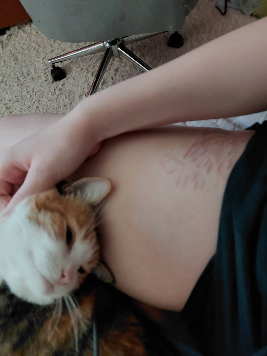 fem ritsu of shtwt ₍^. .^₎⟆ tweet media