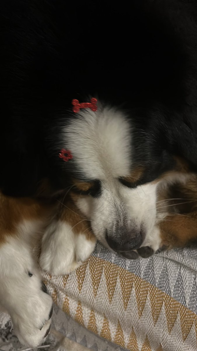 lala⁷˚⟡˖ ࣪ VAI VER O BTS tweet media